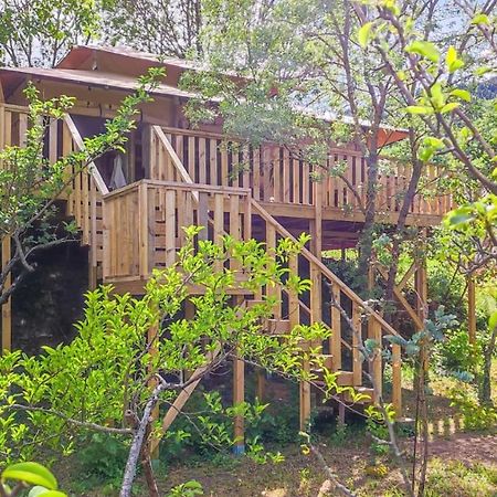 Hotel Orbis Boussagues La Tour-sur-Orb Exteriér fotografie